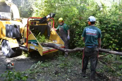 tree services Hagerstown